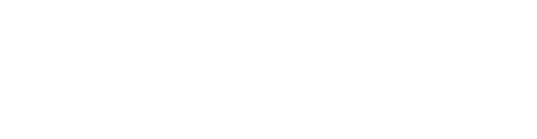 神农量子